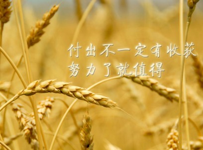 唯美励志的微信带字图片合集下载
