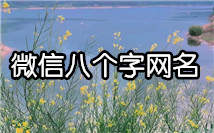 八个字