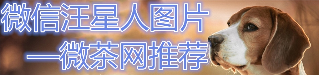 汪星人