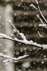 唯美意境的微信雪景图片