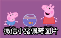 小猪佩奇