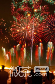 唯美绚烂的夜空鲜花微信摄影图片