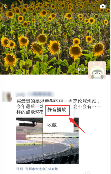 微信朋友圈视频如何设置静音播放？