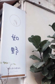 唯美风景ins系背景图