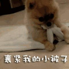 微信搞笑可爱卖萌表情6/10（二）