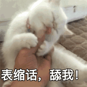 微信搞笑可爱卖萌表情6/10（一）