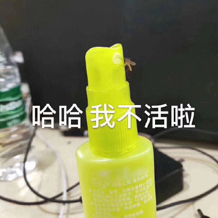 微信搞笑无厘头表情包6/18（二）