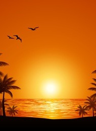 椰林树影夕阳美风景微信背景图