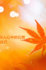 伤感唯美的枫叶林微信朋友圈配图
