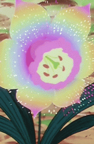 七色花好看的微信素材图片