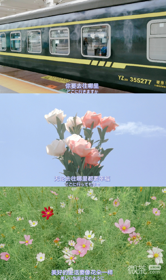 清新文艺三屏微信聊天背景图