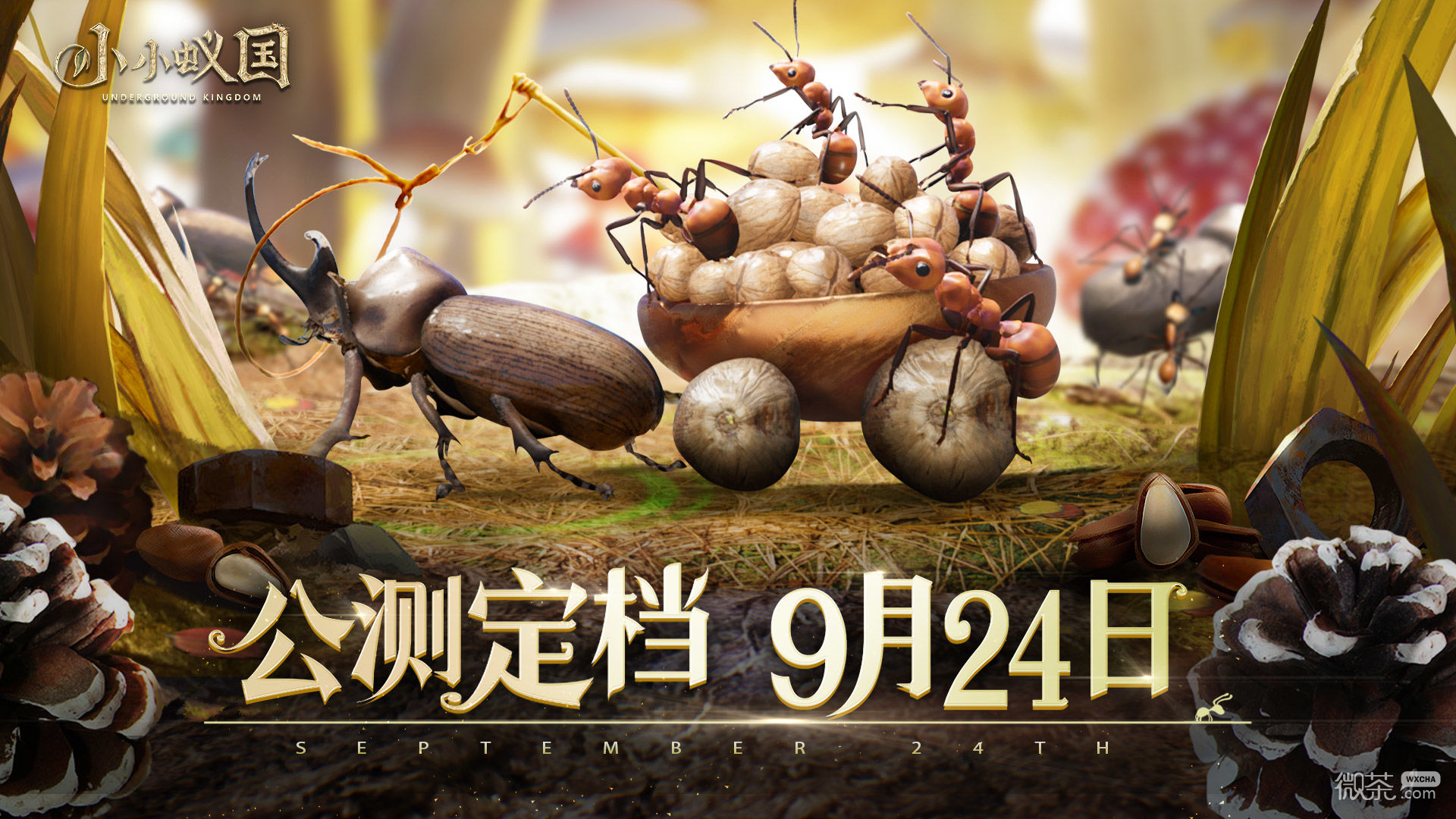 《小小蚁国》野外生物的狩猎方法介绍