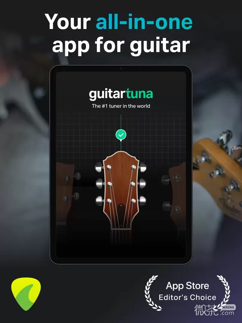 GuitarTuna