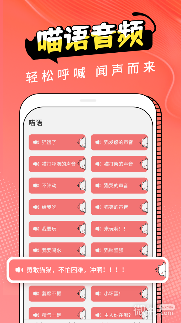 猫翻译