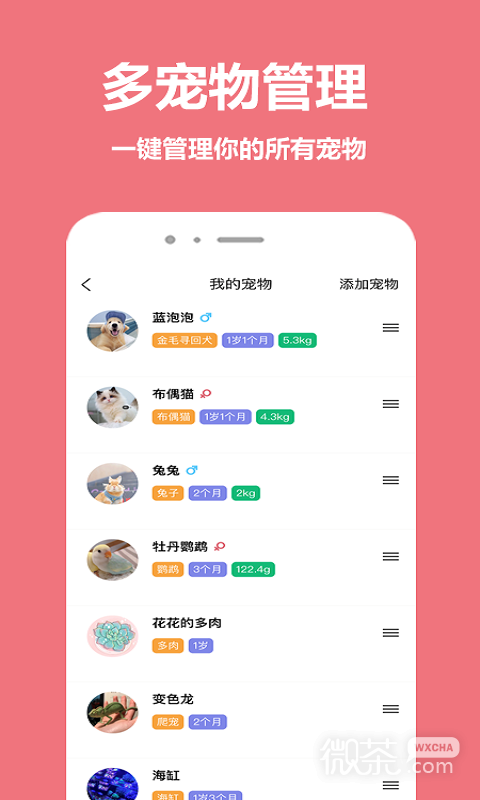 宠物王国