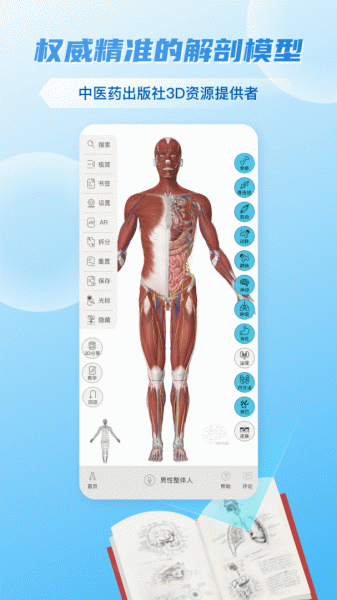 维萨里3D解剖