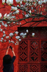 美艳动人的风景微信背景图