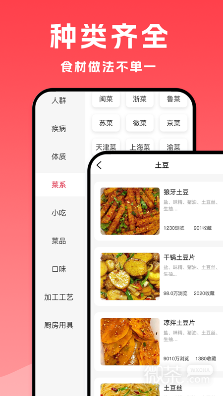 小白菜谱