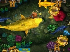 容易打高分的捕鱼