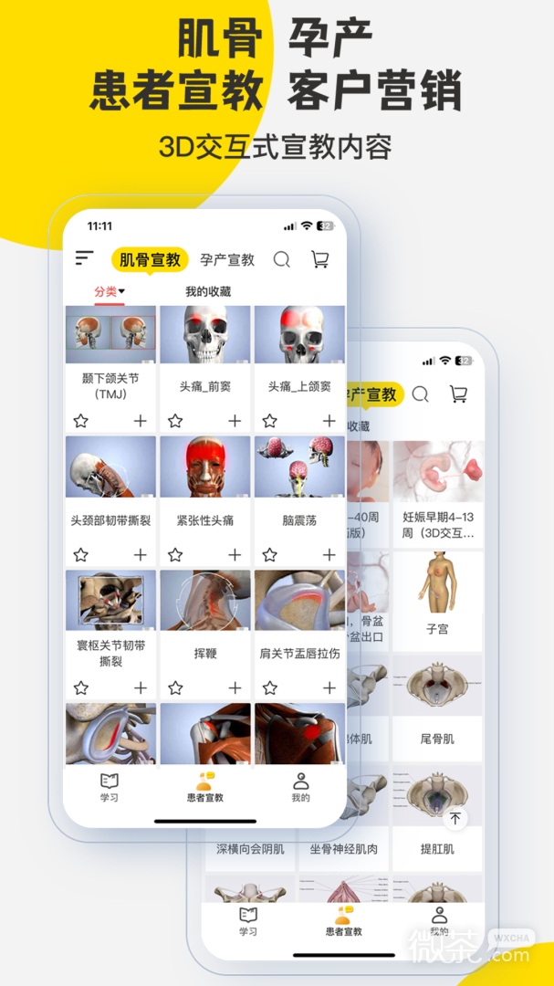 3DBody解剖