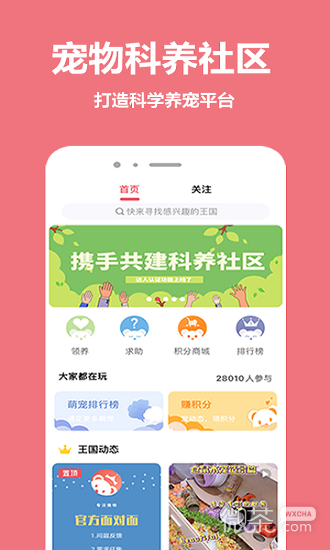 宠物王国