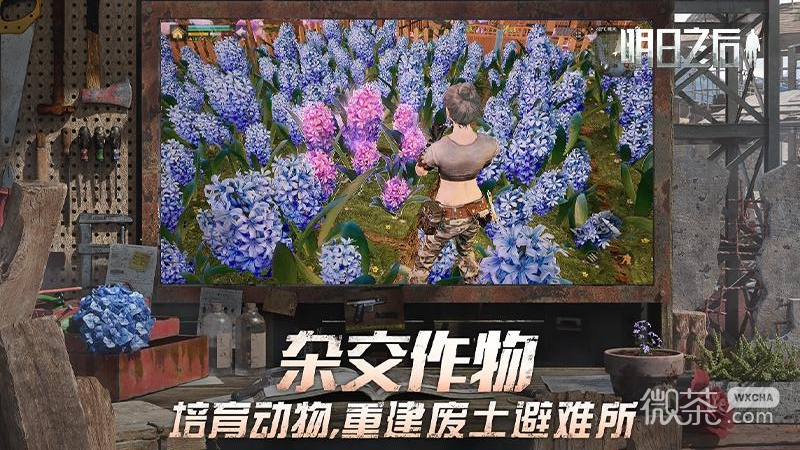 明日之后