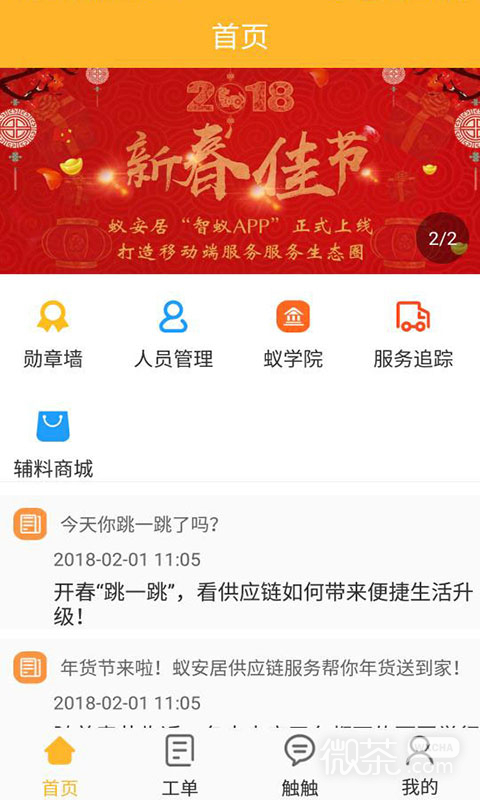 智蚁