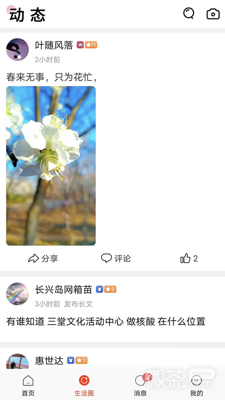 长兴岛生活网