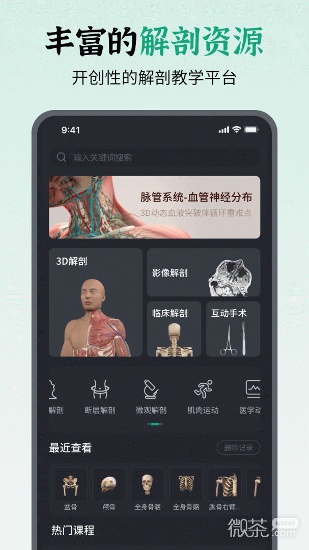 万康人体解剖