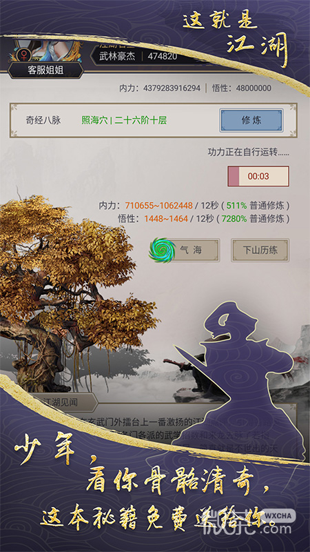 这就是江湖九游版