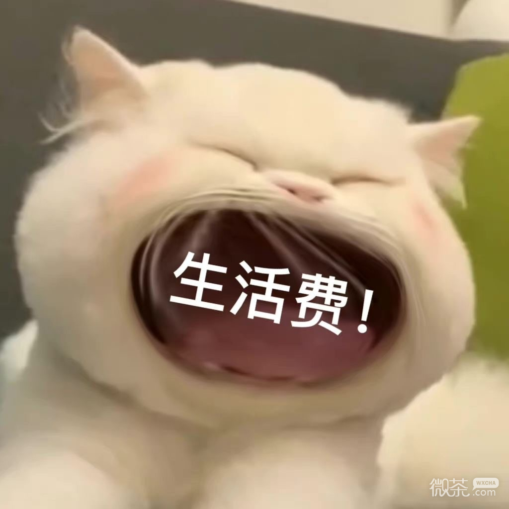 猫猫张大嘴可爱微信表情包_微信表情_微茶网