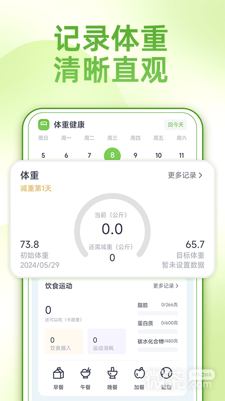 薄荷减肥打卡