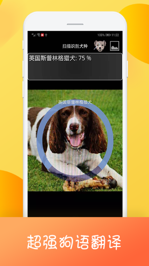 猫狗翻译器