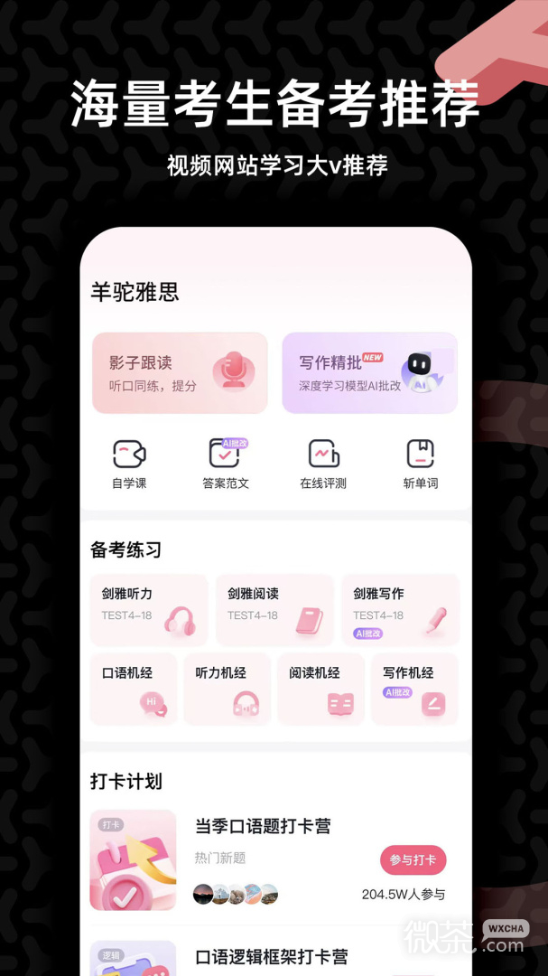 羊驼雅思