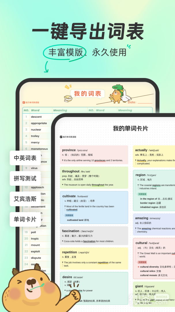 扇贝单词英语版