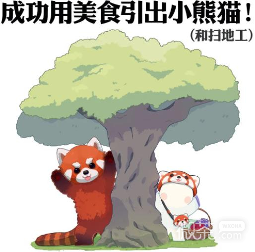 《阴阳师》守护的契约小熊猫公益活动玩法攻略一览