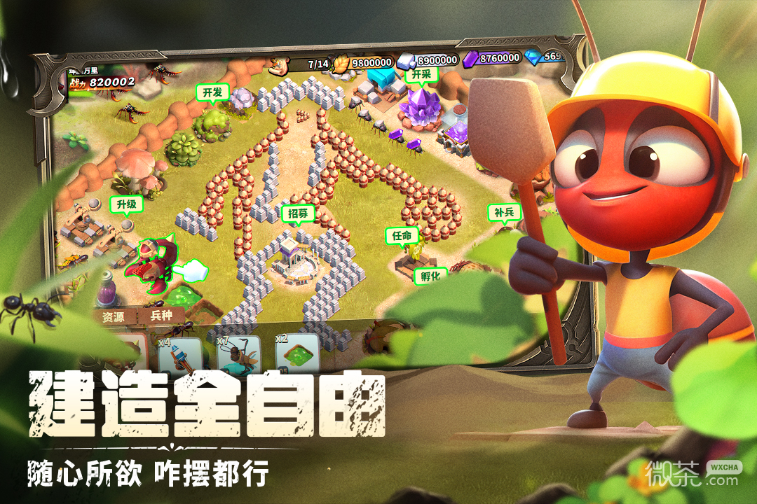 蚁族崛起