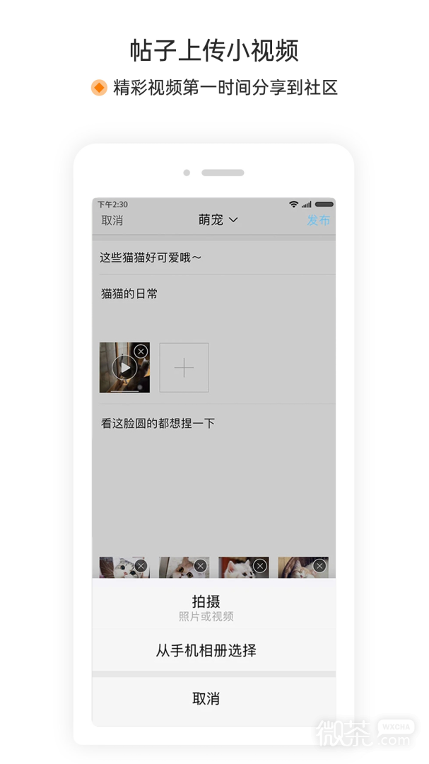 萧内网