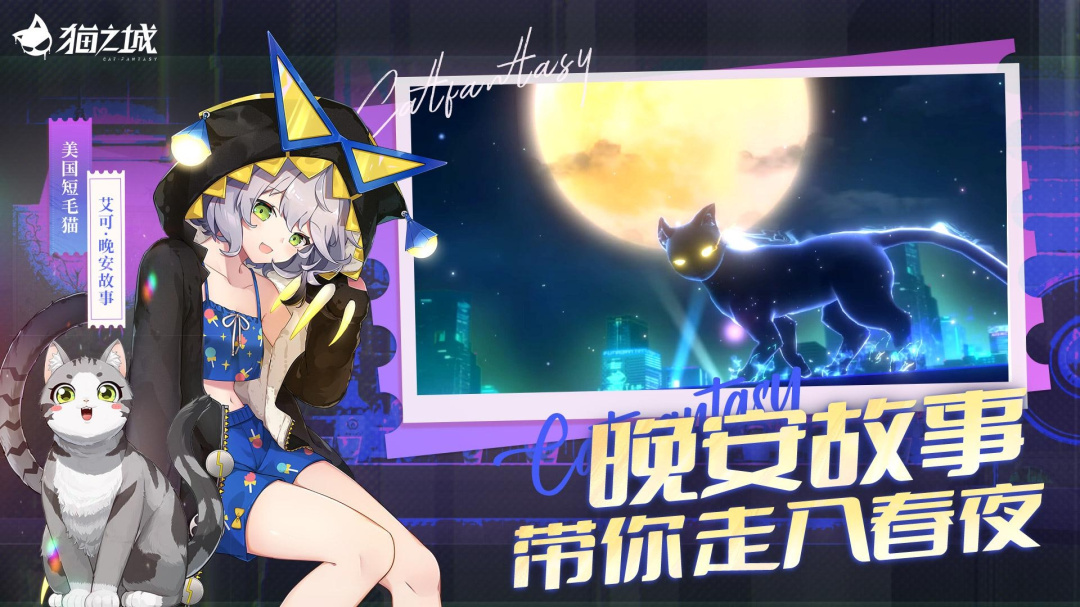 猫之城