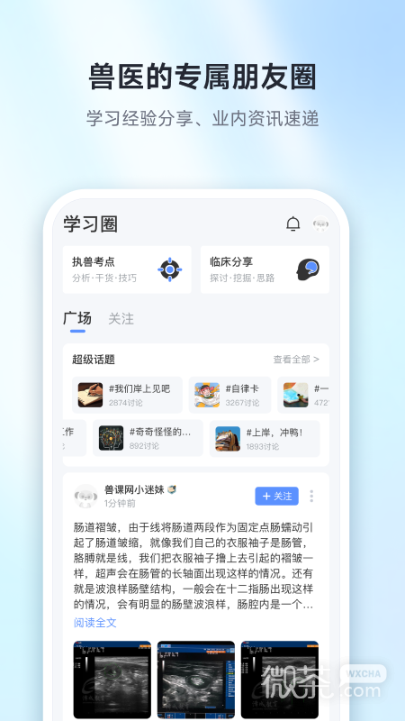 兽课网