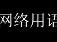 日龙包梗是什么意思详情