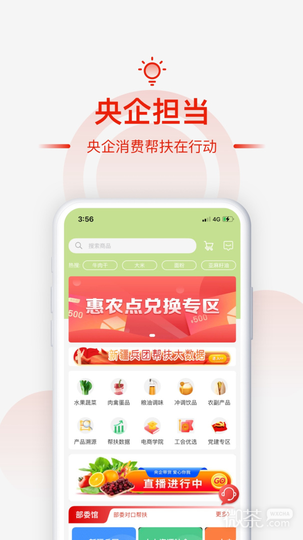 央企消费扶贫