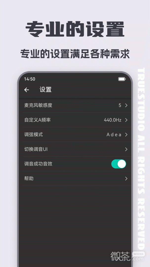 琵琶调音器