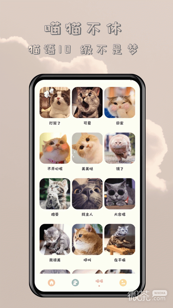 èappv1.2.2