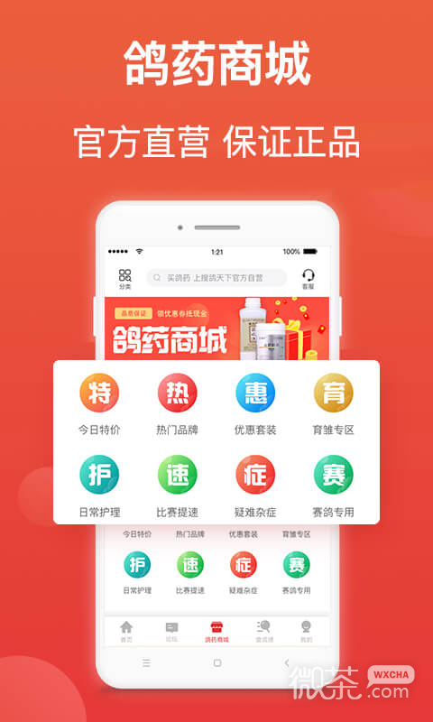 搜鸽天下
