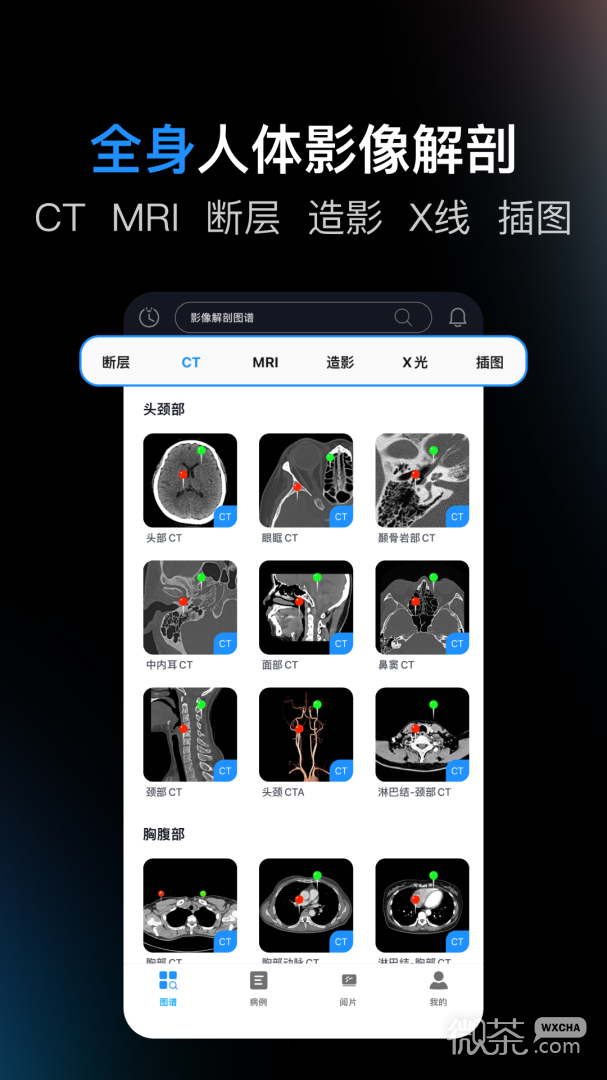 影像解剖图谱