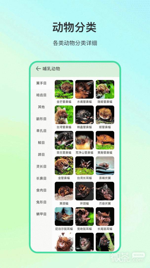 动物百科