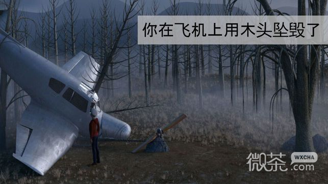 迷失森林联机版