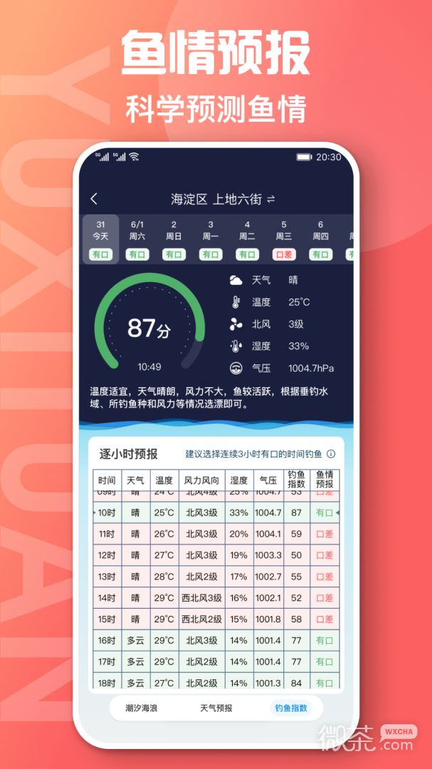鱼喜团