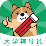 辅导员练题狗